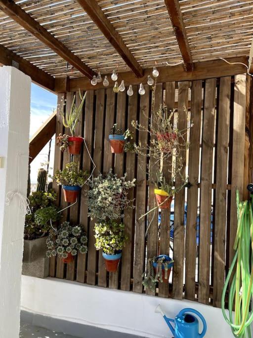 La Casa Del San Anton Villa Nijar Bagian luar foto